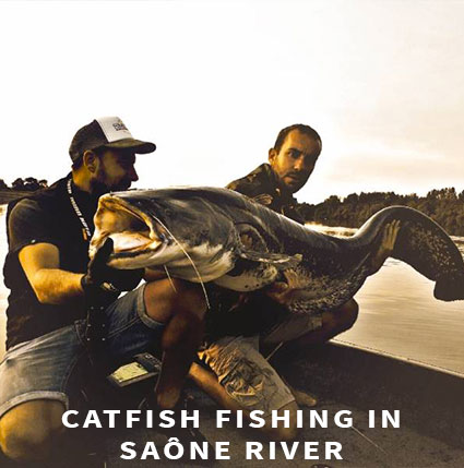 Catfish fishing in Saône